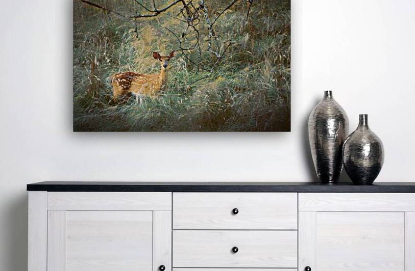 White Tailed Fawn In the Tall Grass by Jason Fink