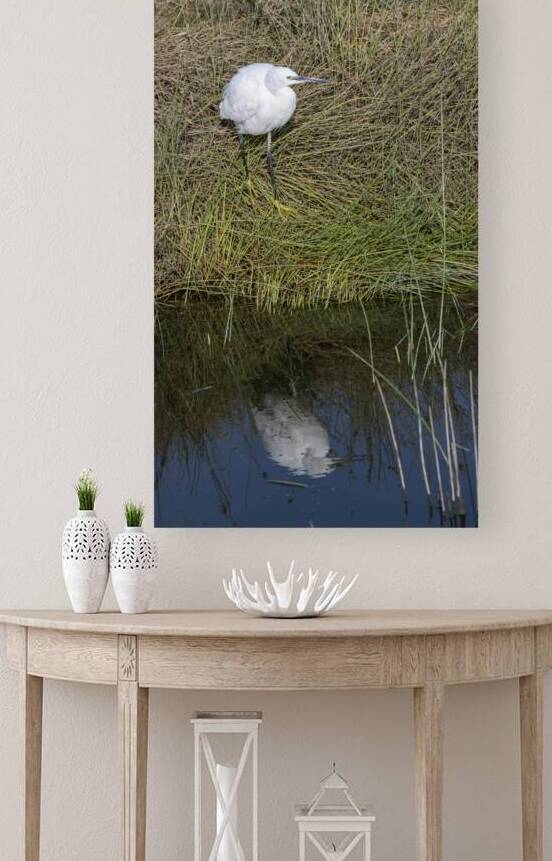 Egert Amboseli National Park Kenya by Randy Roy Photography