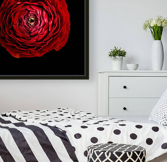 Anemone_2 by Lily Markovic