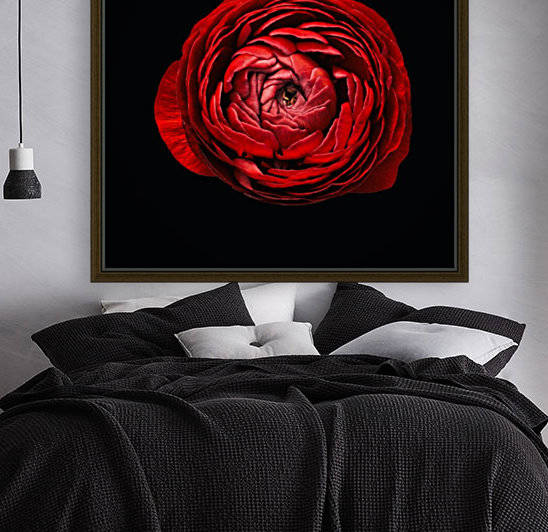 Anemone_1 by Lily Markovic