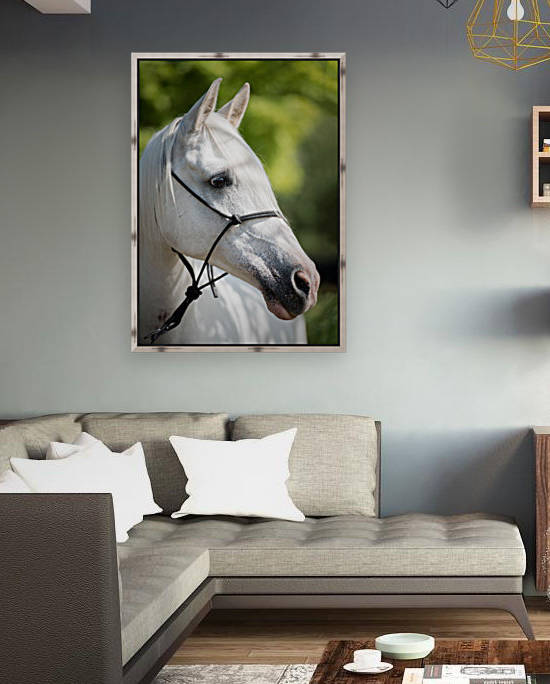 Horse Portrait by Lily Markovic