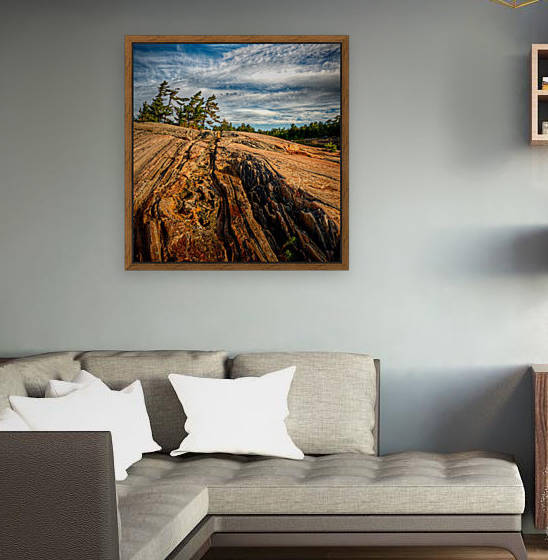 Franklin Island by Lily Markovic