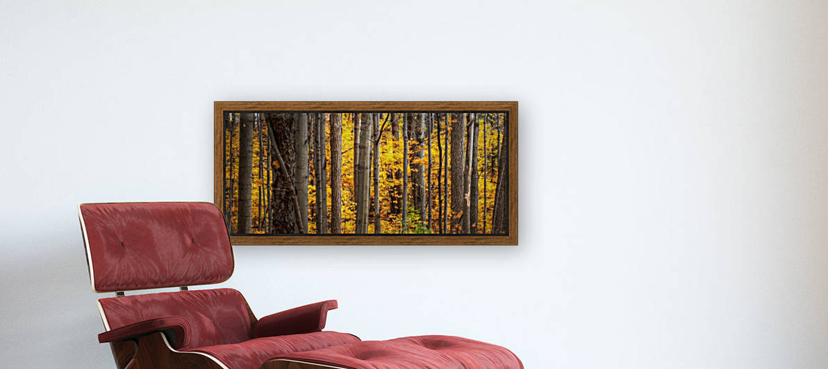 Yellow Autumn by Lily Markovic