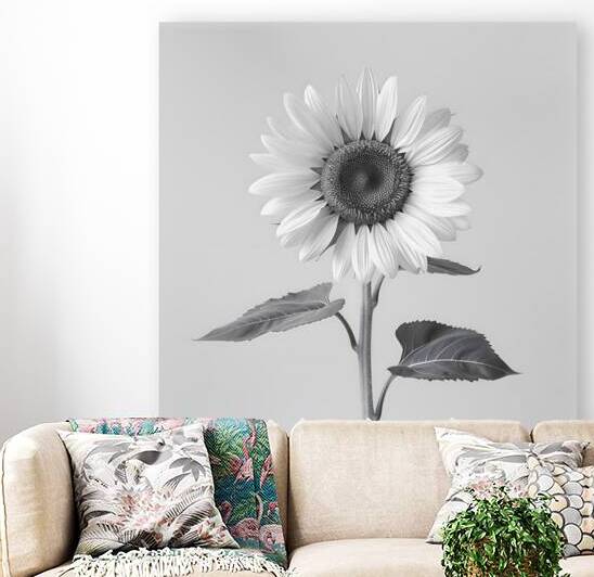 Sunflower Selfie 7 - Sunflower Portrait Art Prints by Savage Art Prints