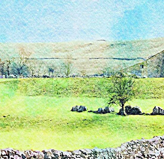Yorkshire Dales with Dry Stone Wall and Sheep Watercolour by Travelling Light