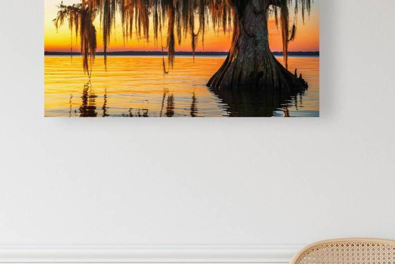 Light Catcher by Andy Crawford