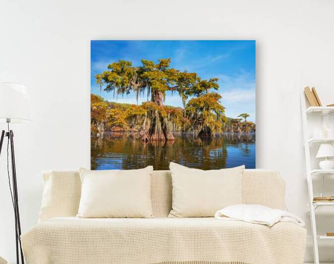 Swamp Ent by Andy Crawford