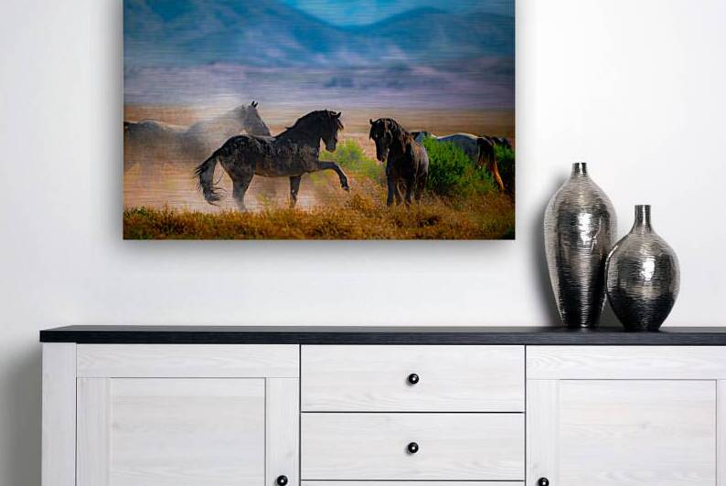 BZ9 8669 Enhanced NR 3 by Susan Lynn Cooke