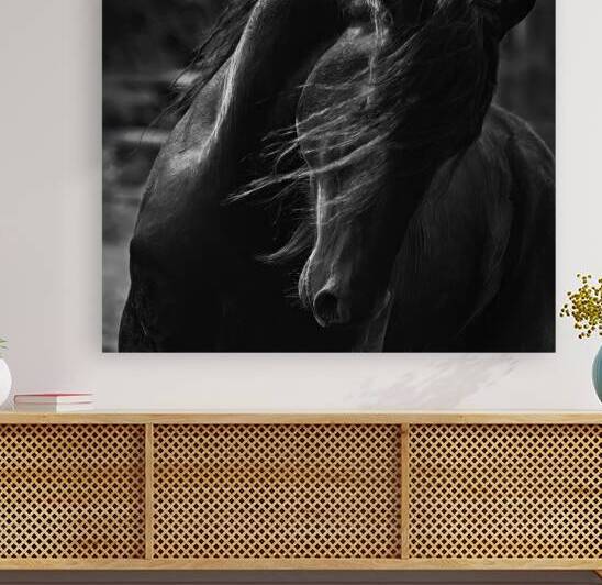Bestseller: Majestic Elegance: Black Beauty the Friesian by Caio Paagman Photography