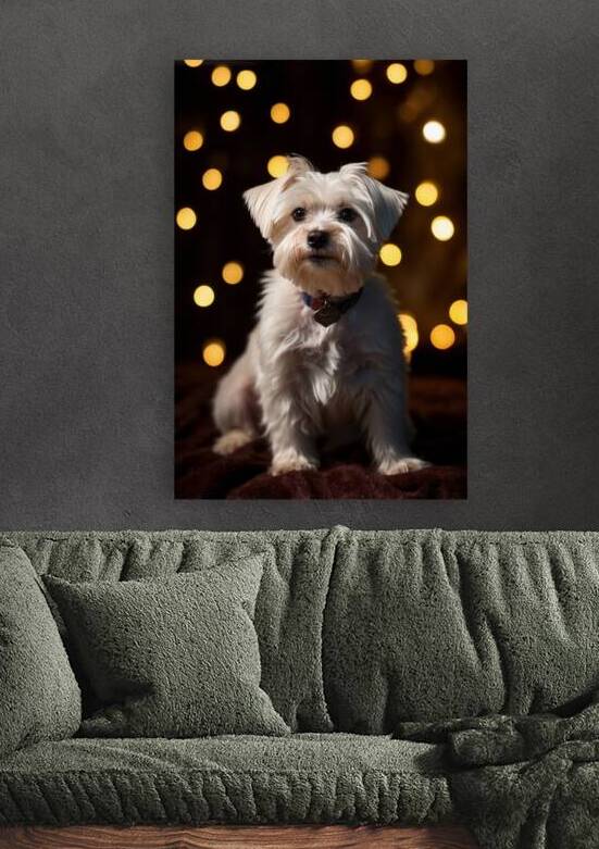 Dogs in a Frame 5 by The Mabazza Foundation 