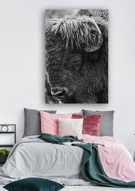 The Mighty Buffalo: Icons of the American Plains by Caio Paagman Photography