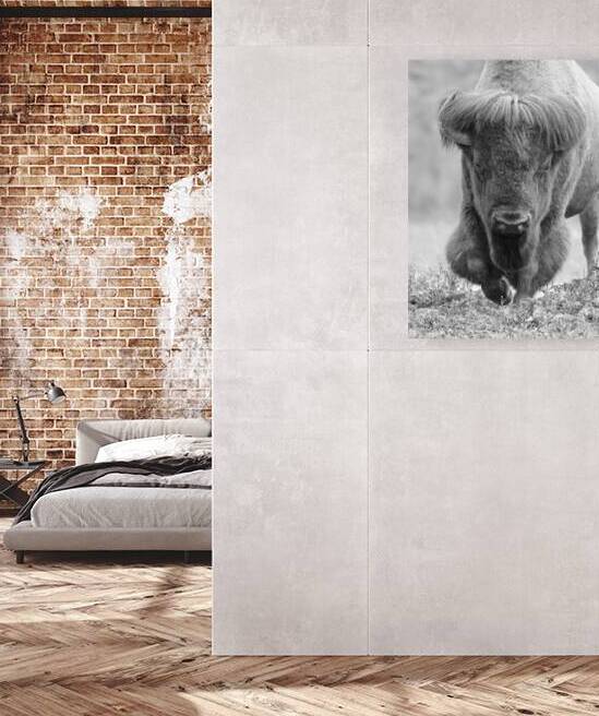 Buffalo in Art and History: A Timeless Inspiration by Caio Paagman Photography