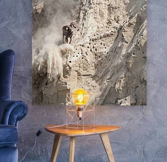 Witness the Spectacular: Bighorn Sheep in Motion by Caio Paagman Photography