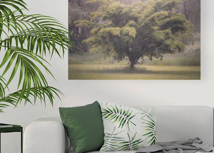 Cedar Creek Park   Late Spring Dogwood by Jason Fink