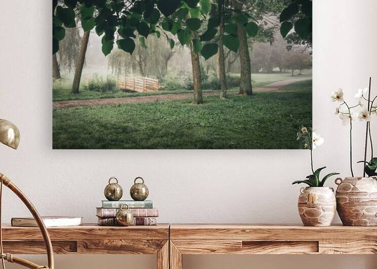 Cedar Creek Park View from Under the Trees by Jason Fink