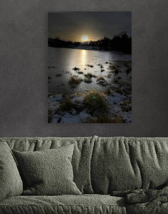 Winters Sun Light Kiss for the Scottish Highlands by Catriona Roberts Nature Photography and Designs