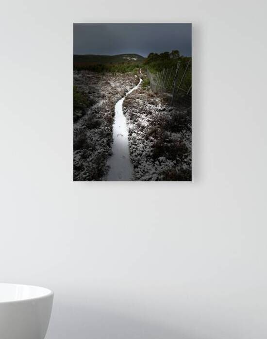 Scenes from the Trail- Snowy Path by Catriona Roberts Nature Photography and Designs