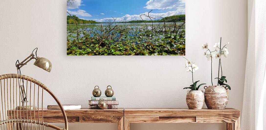 invasive by Carinou Art