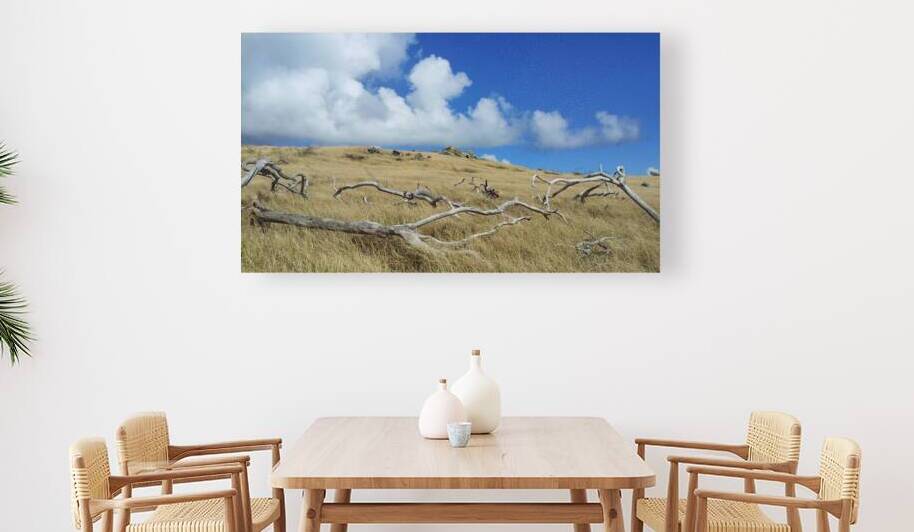 trees skeleton by Carinou Art