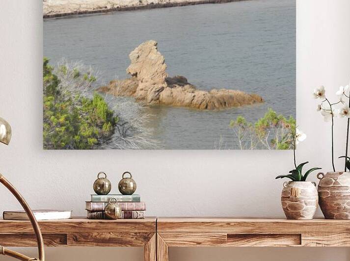 sea ​​monster by Carinou Art