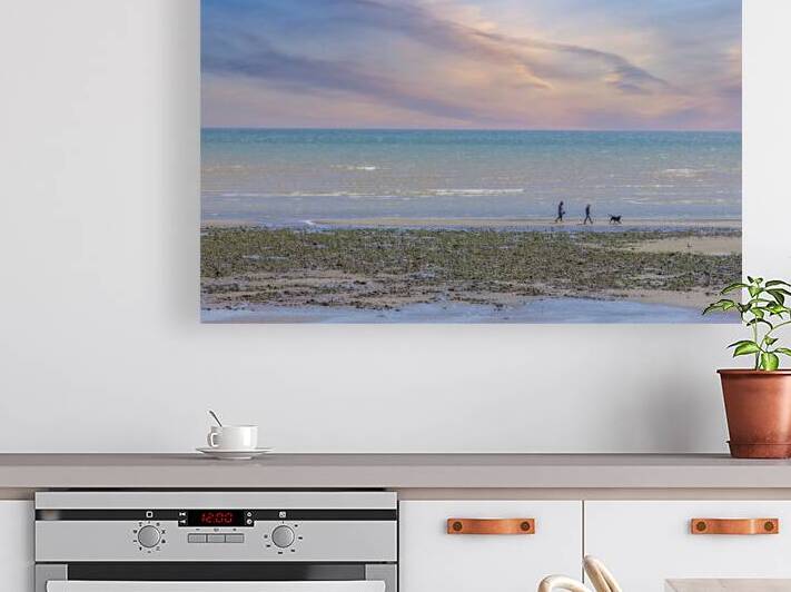 Dog Walking at Seaside by Assaf Frank