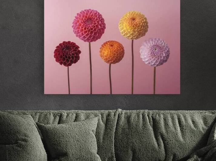 Vibrant Dahlia Array by Assaf Frank