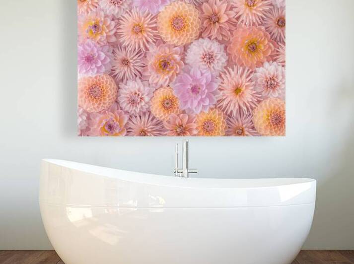 Floral Blush by Assaf Frank