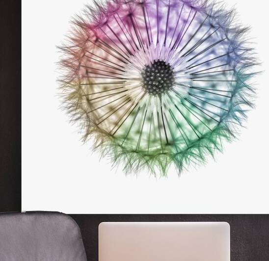 Whimsical Kaleidoscope by Assaf Frank