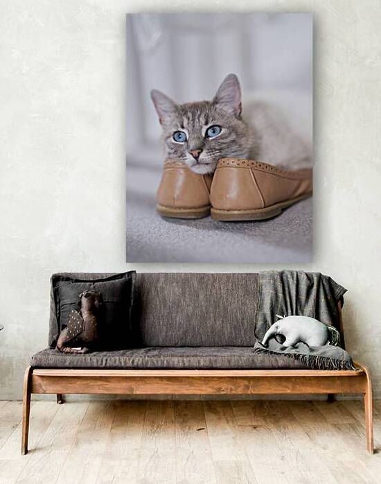 Purrfect Pair by Assaf Frank