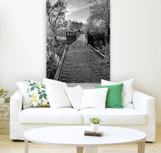 A Frosty Nature Walk Through The Scottish Highlands  by Catriona Roberts Nature Photography and Designs