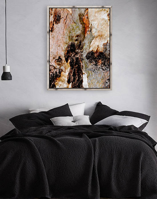 Ghost Gum Bark - 3 by Lexa Harpell