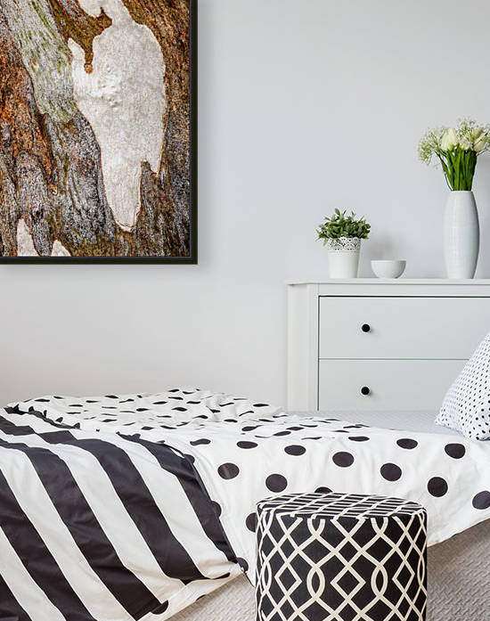 Ghost Gum Bark - 5 by Lexa Harpell