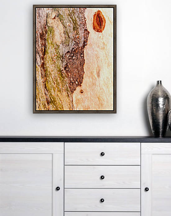 Aussie Gum Tree Bark - 3 by Lexa Harpell