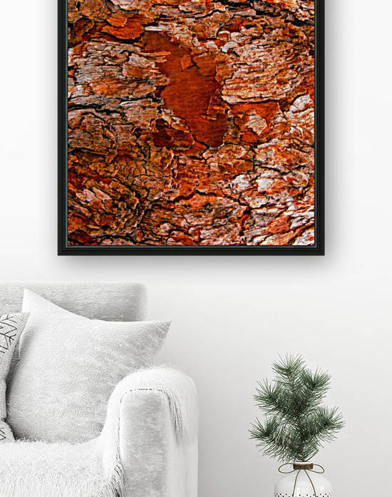 Aussie Gum Tree Bark - 6 by Lexa Harpell