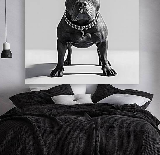 Bold Pitbull in Monochrome Focus by Fab Haven
