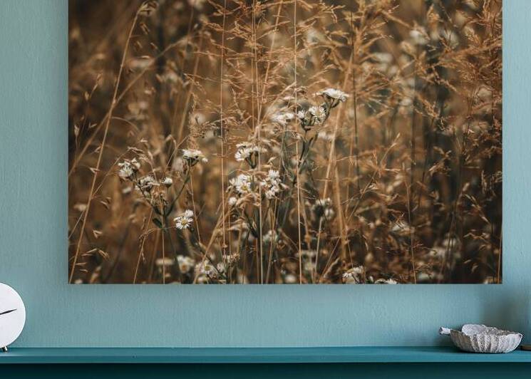 Summter Wildflower Tangle by Jason Fink