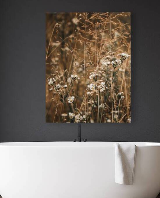 Summer Wildflower Tangle Portrait by Jason Fink