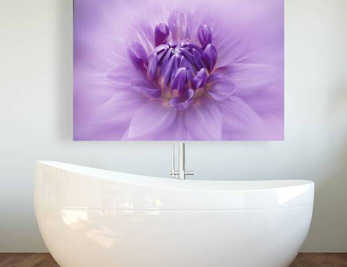 Purple Dahlia by Joan Han