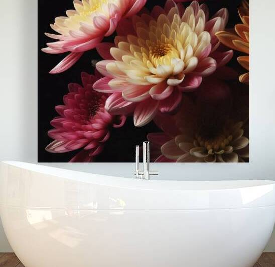 Chrysanthemums realistic photo in full black back by Nature s Child