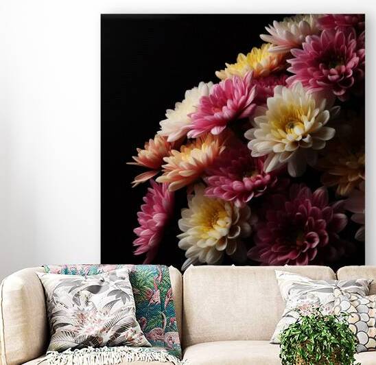 Chrysanthemums realistic photo in full black by Nature s Child