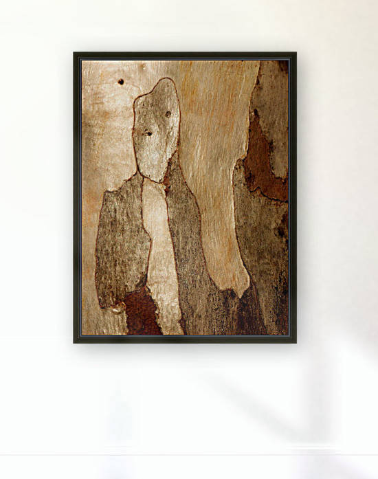 Murray Gum Tree Bark 6 by Lexa Harpell