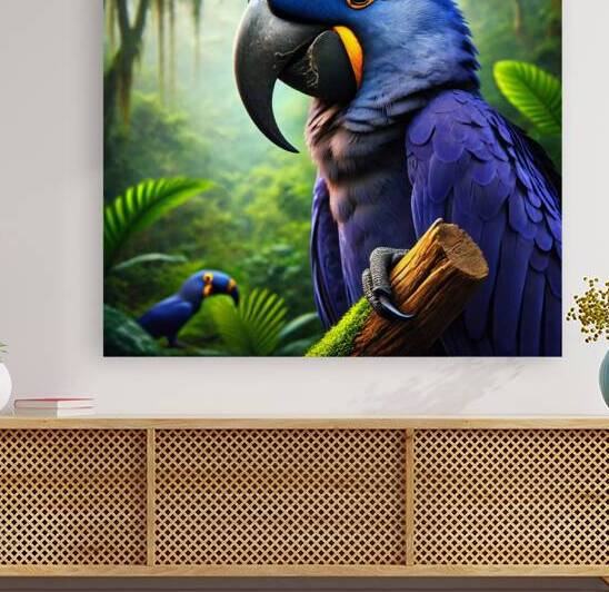 Hyacinth Macaw  by Nature s Child