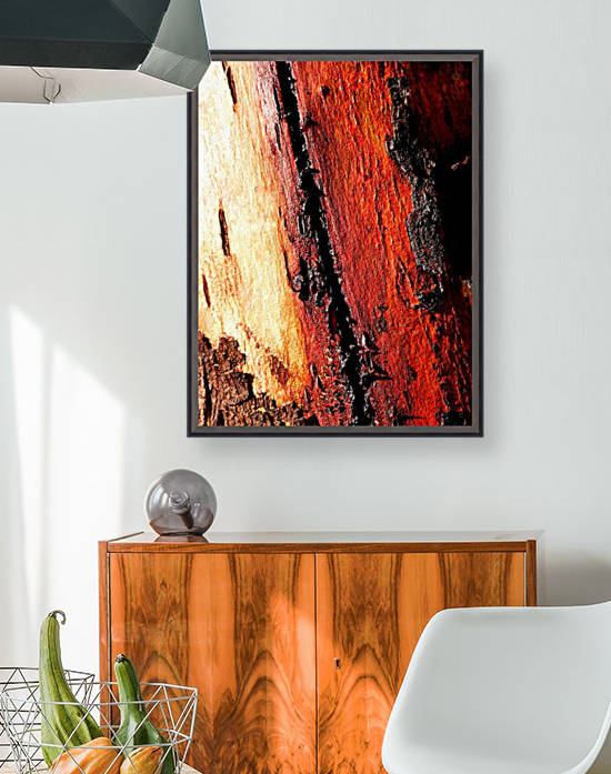 Murray Gum Tree Bark 11 by Lexa Harpell