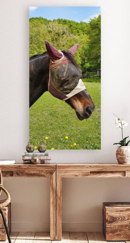 Lets play hide and seek by Carinou Art