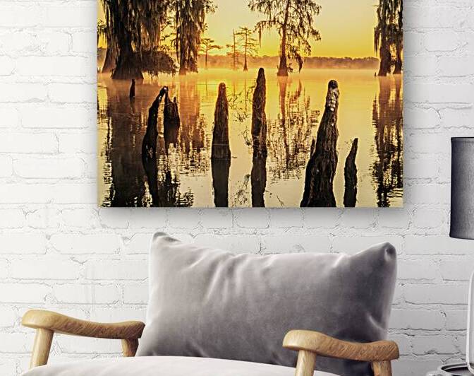 Golden Attakapas by Andy Crawford