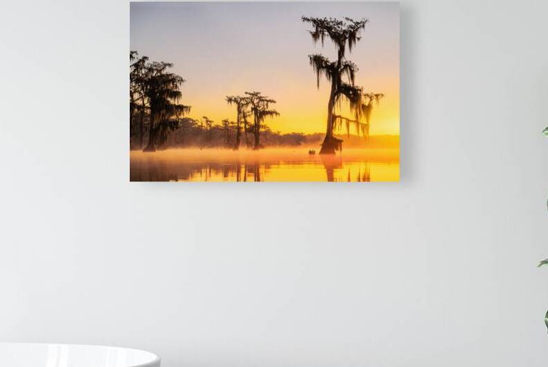 Attakapas Fog by Andy Crawford