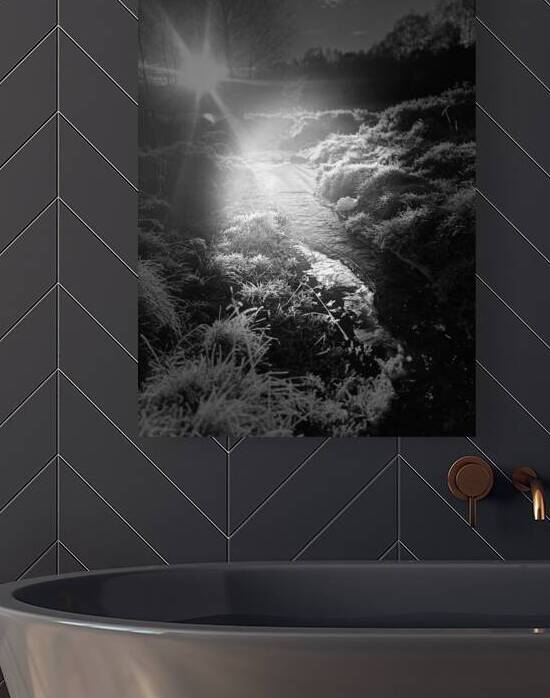 Winters Frosty Light and Shadow in the Scottish Highlands by Catriona Roberts Nature Photography and Designs