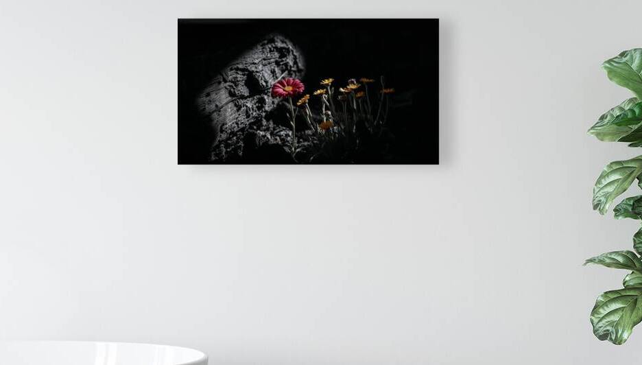 The Art That Endures  39 by The Mabazza Foundation 