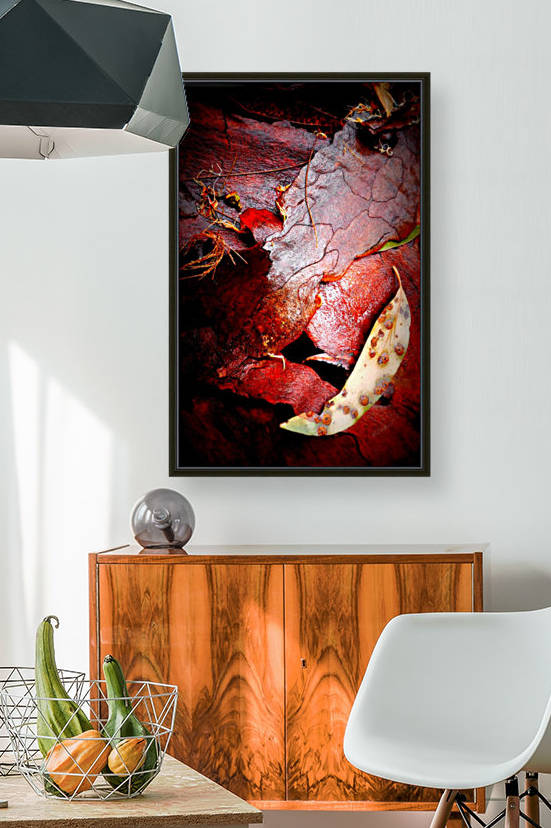 Aussie Gum Tree Bark - 10 by Lexa Harpell