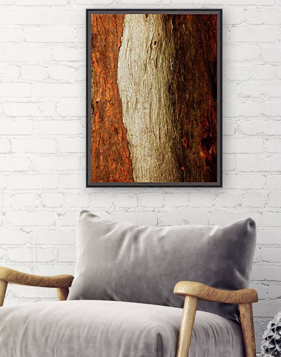 Murray Gum Tree Bark 17 by Lexa Harpell